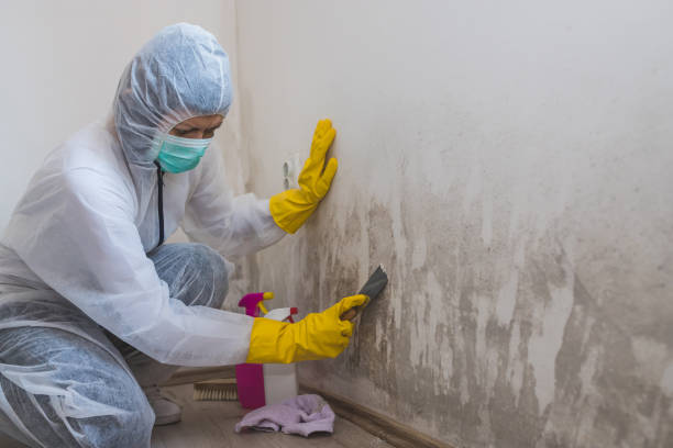 Best Post-Remediation Verification Testing  in Tularosa, NM
