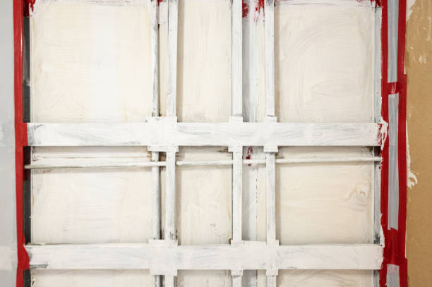 Best Attic Mold Removal  in Tularosa, NM