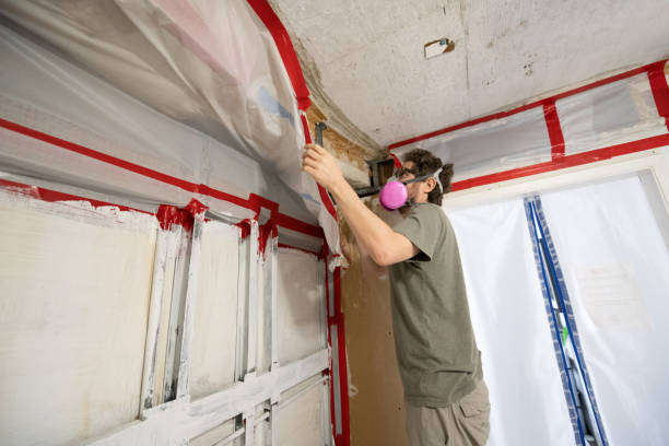 Best Mold Remediation for Healthcare Facilities  in Tularosa, NM