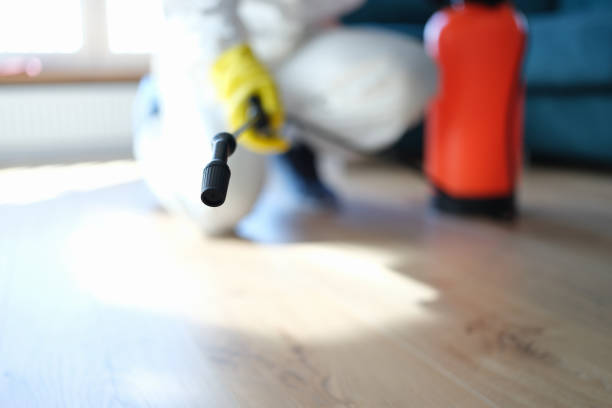Best Emergency Mold Remediation  in Tularosa, NM