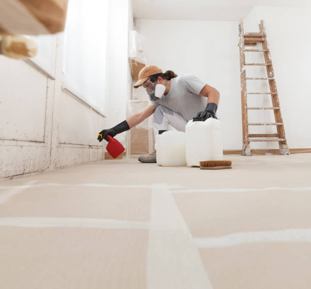 Best Real Estate Mold Inspection  in Tularosa, NM