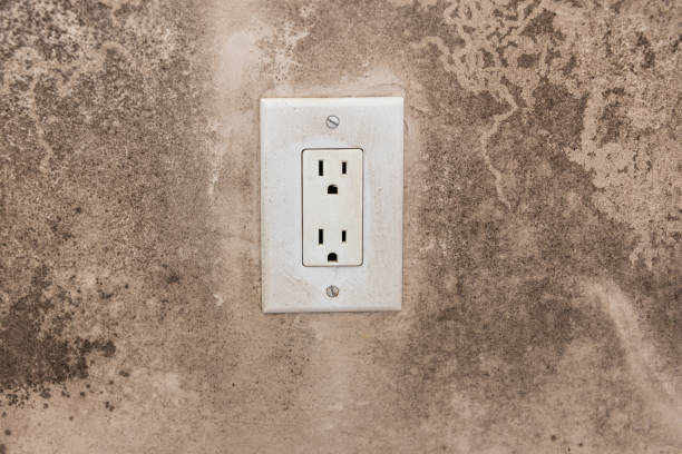 Best Asbestos and Lead Testing During Mold Inspection  in Tularosa, NM