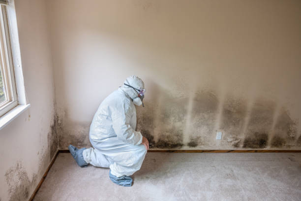 Best Airborne Mold Testing  in Tularosa, NM
